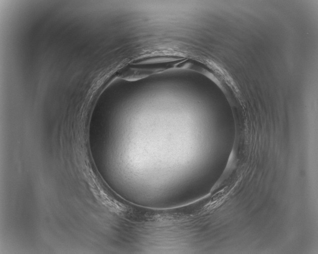 X0000076231009200610051135