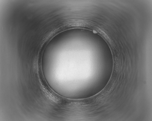 X0000076231010200610051135