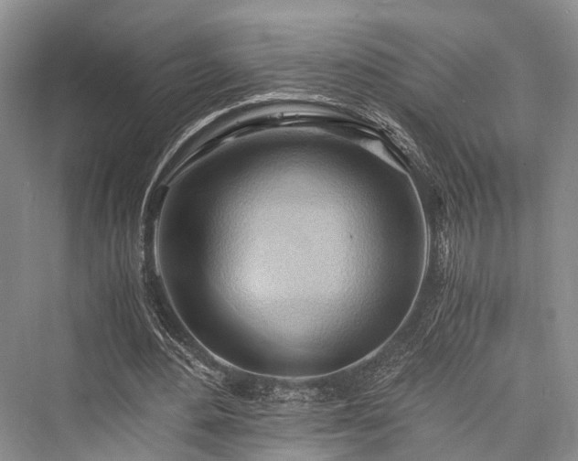 X0000076231012200610051135