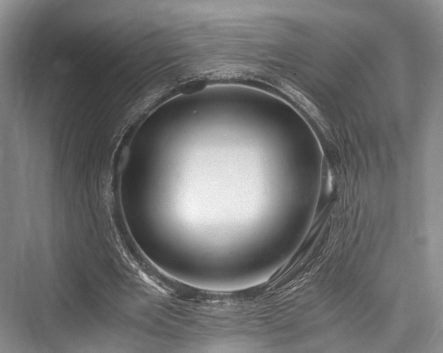 X0000076231013200610051135