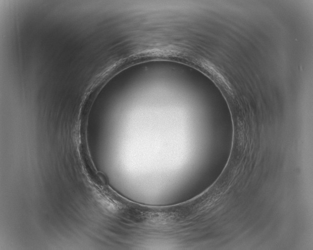 X0000076231014200610051135