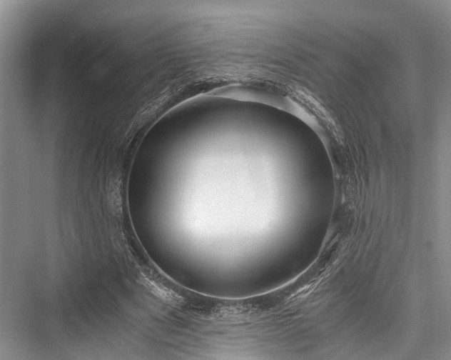 X0000076231017200610051135
