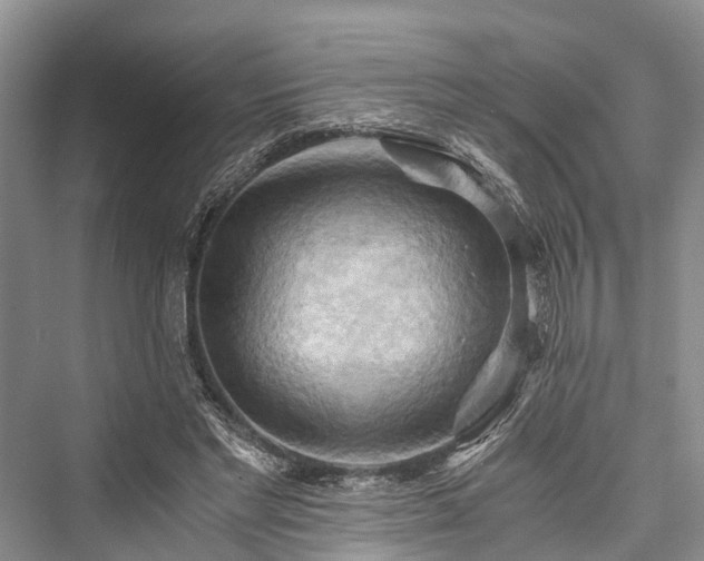 X0000076231021200610051135