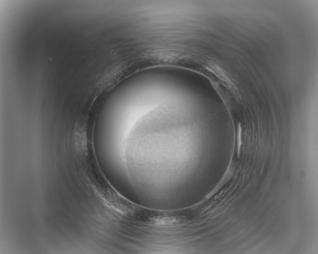 X0000076231028200610051134