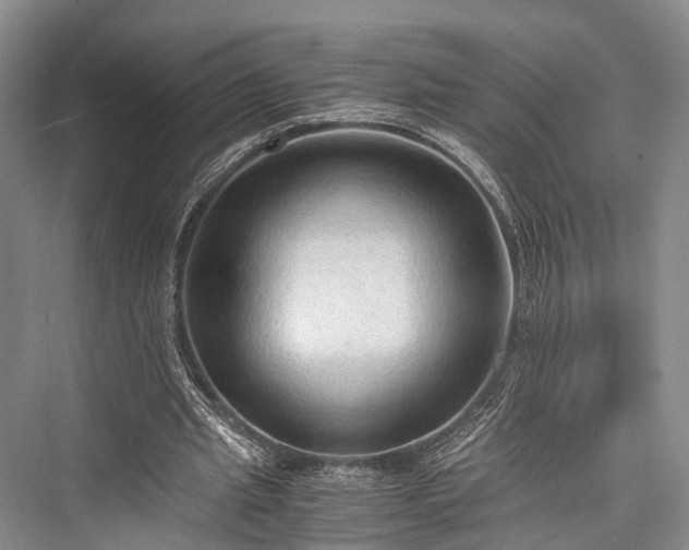 X0000076231061200610051135