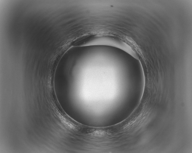X0000076231065200610051135
