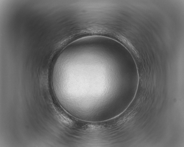 X0000076231066200610051135