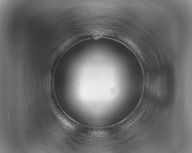 X0000076231069200610051135