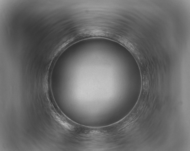 X0000076231110200610051136