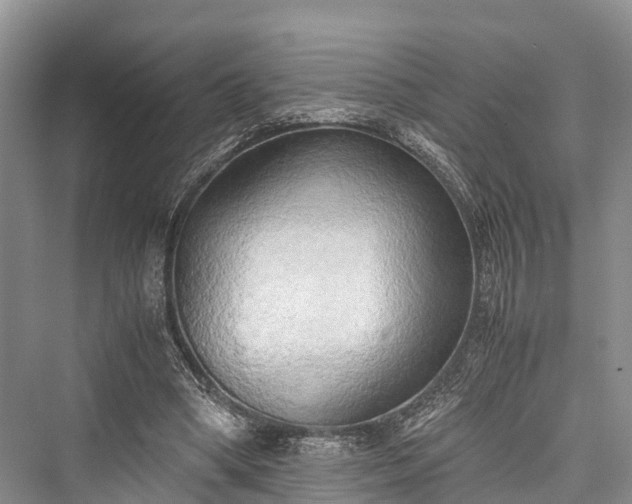 X0000076231114200610051136