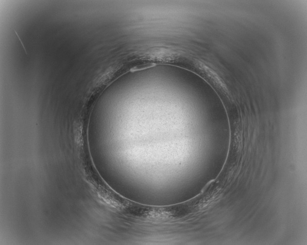 X0000076231123200610051136