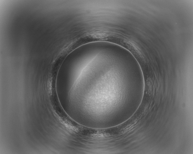 X0000076231124200610051136
