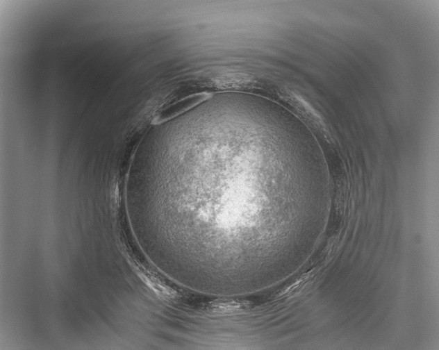 X0000076231125200610051136