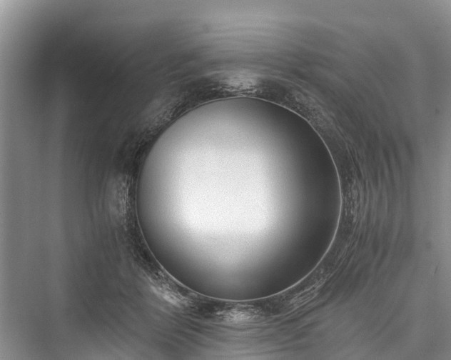 X0000076231132200610051136