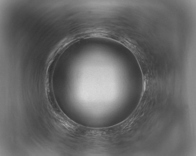 X0000076231155200610051136