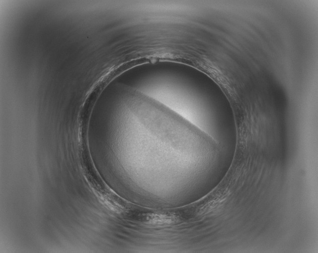 X0000076231163200610051137
