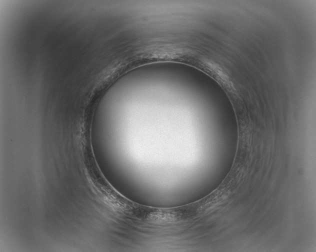 X0000076231170200610051137
