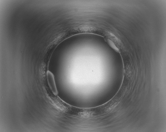X0000076231172200610051137
