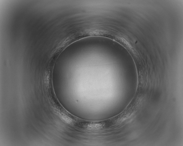 X0000076231173200610051137