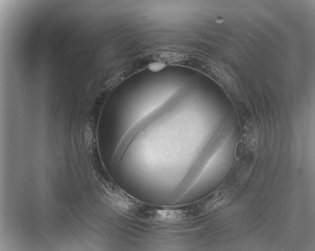 X0000076231187200610051137