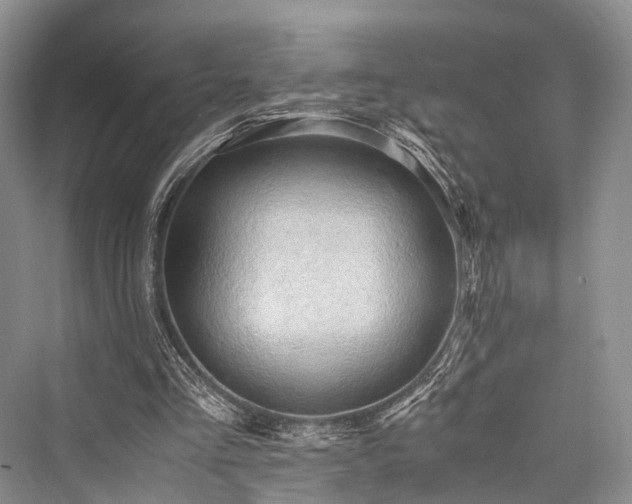 X0000076231205200610051138