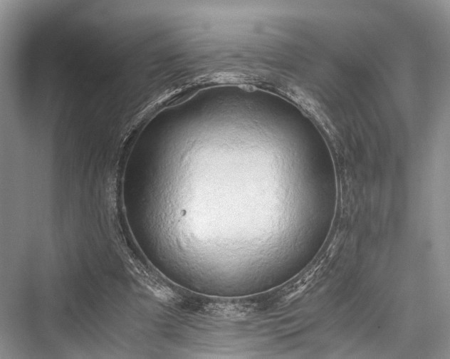 X0000076231209200610051138
