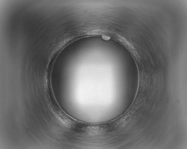 X0000076231210200610051138