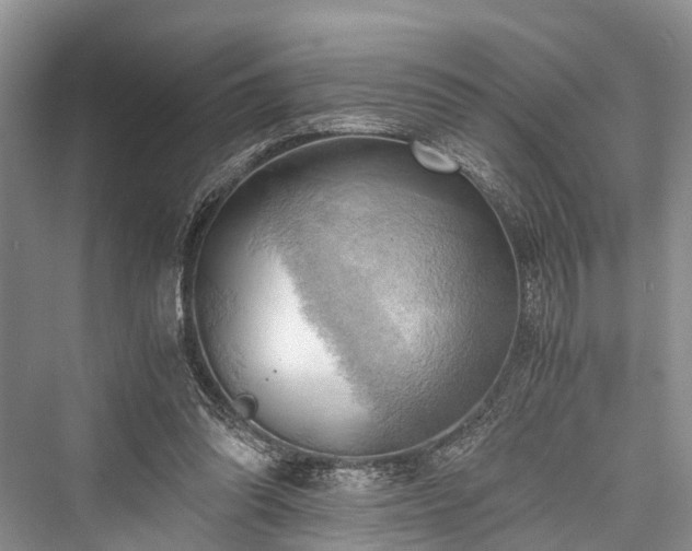 X0000076231214200610051138