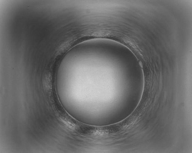 X0000076231215200610051138