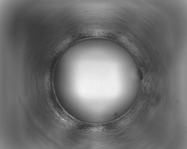 X0000076231218200610051138