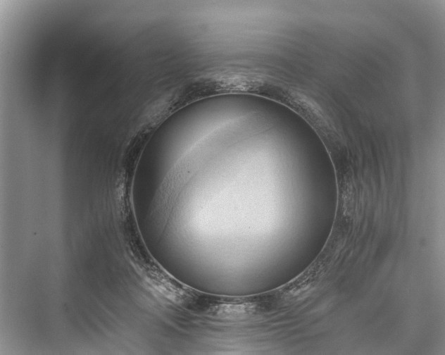 X0000076231226200610051138