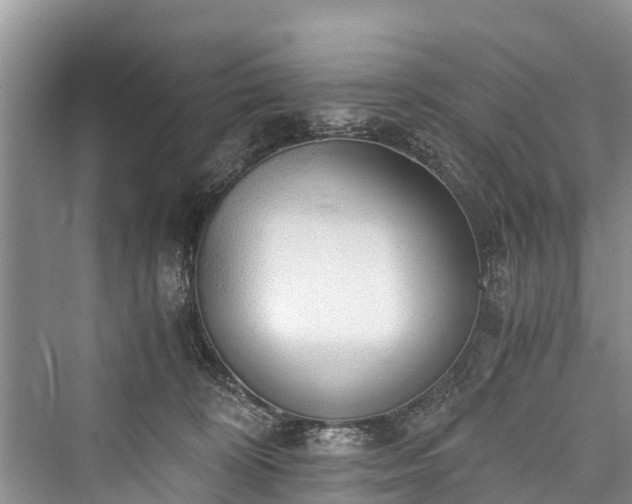 X0000076231236200610051137