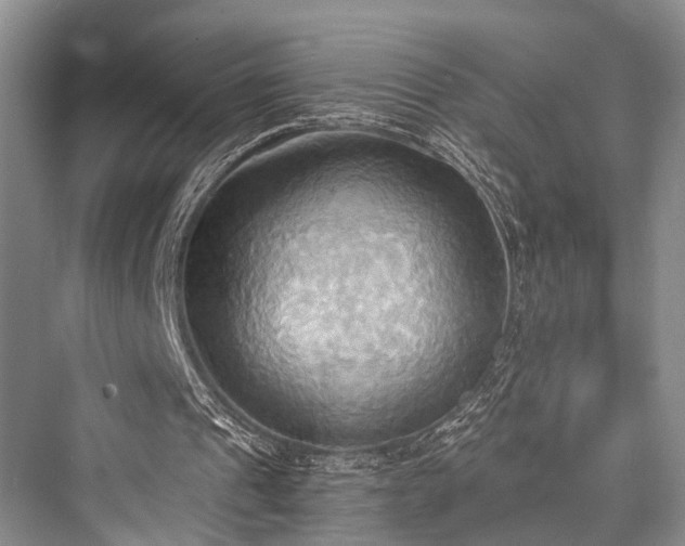 X0000076231249200610051138