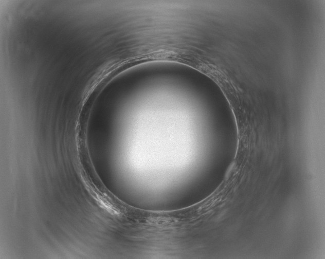X0000076231250200610051138