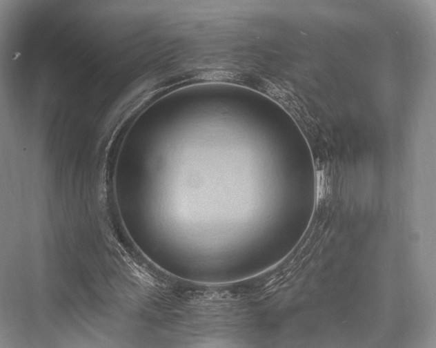 X0000076231251200610051138