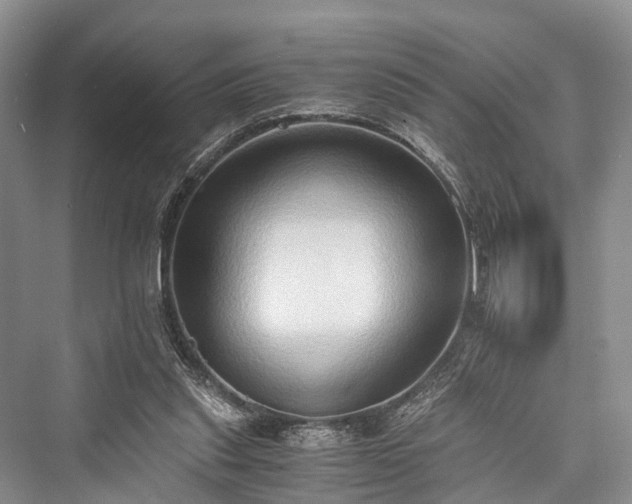X0000076231261200610051138