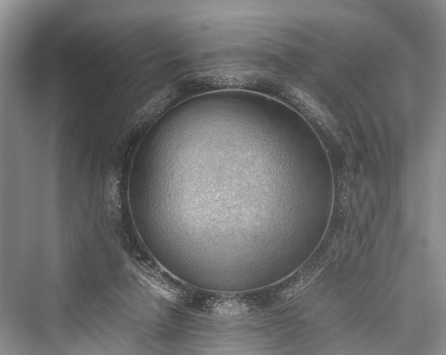 X0000076231266200610051138
