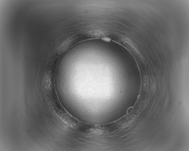 X0000076231267200610051138