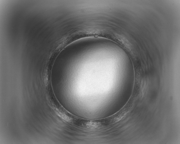 X0000076231269200610051138