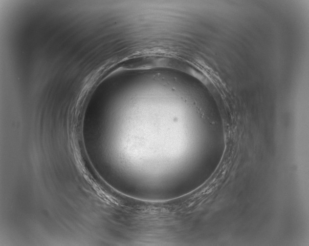 X0000076231297200610051140