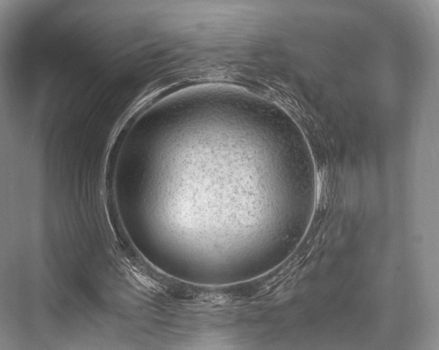 X0000076231299200610051140