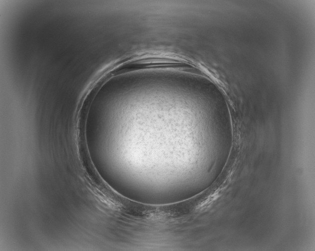 X0000076231303200610051140