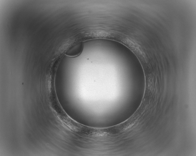 X0000076231310200610051139