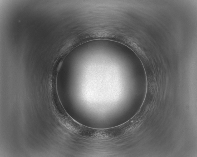 X0000076231311200610051139