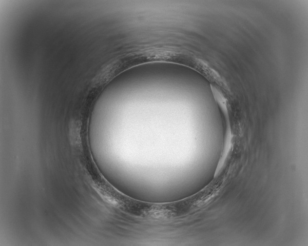 X0000076231313200610051139