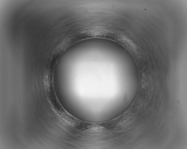 X0000076231314200610051139