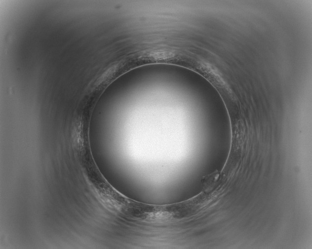 X0000076231316200610051139