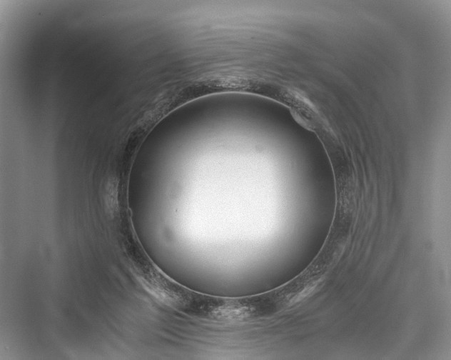 X0000076231317200610051139