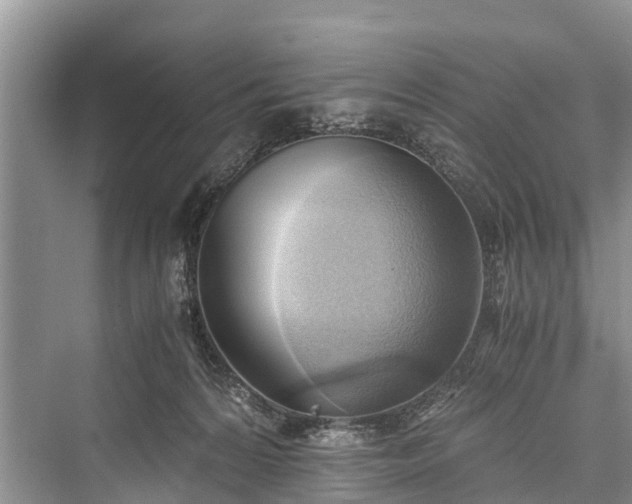 X0000076231328200610051139