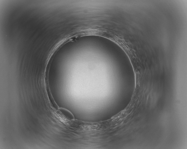 X0000076231347200610051140